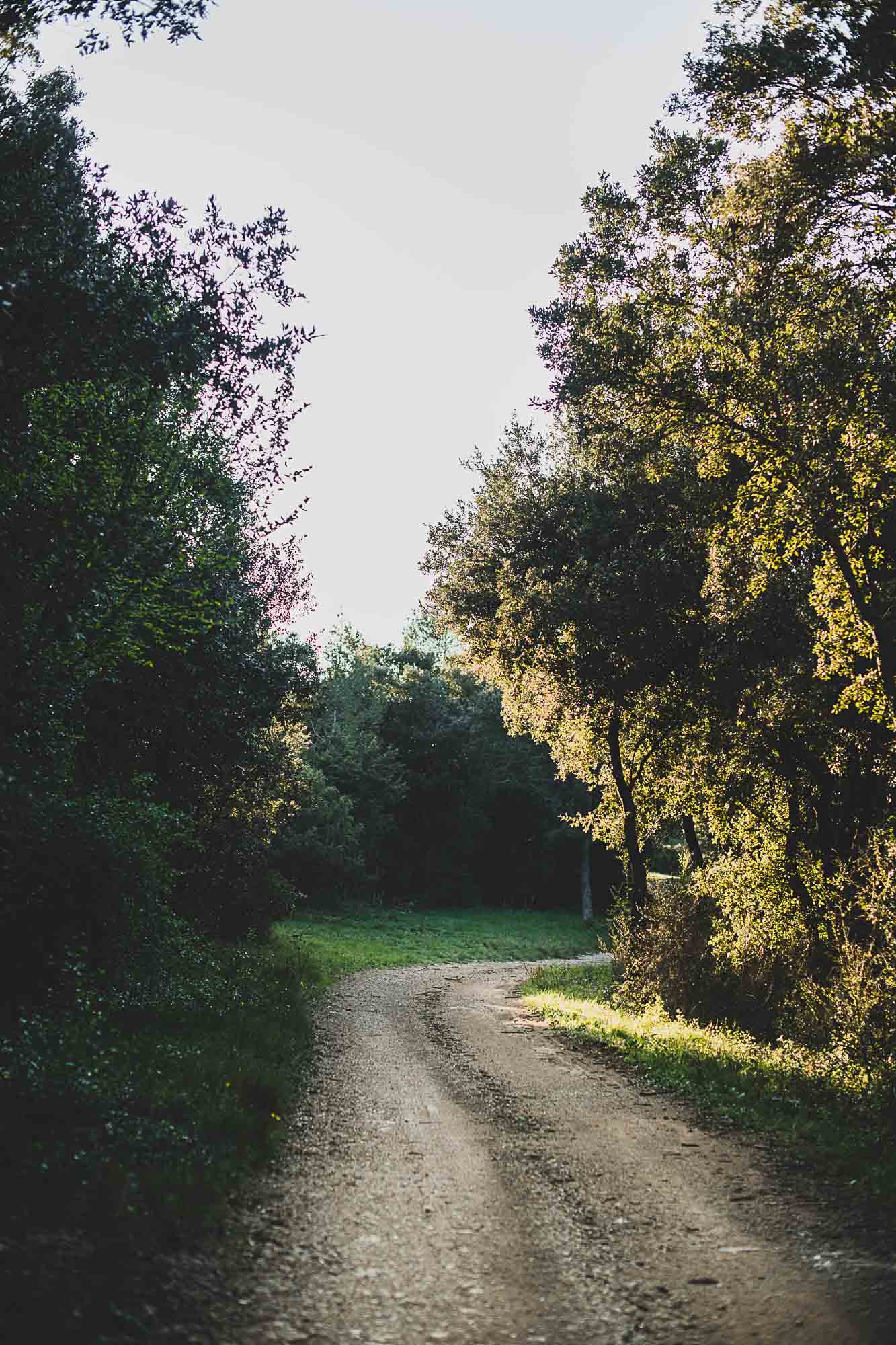 Photographie en agriculture, les paysages du Domaine Viticole de l'Hortus