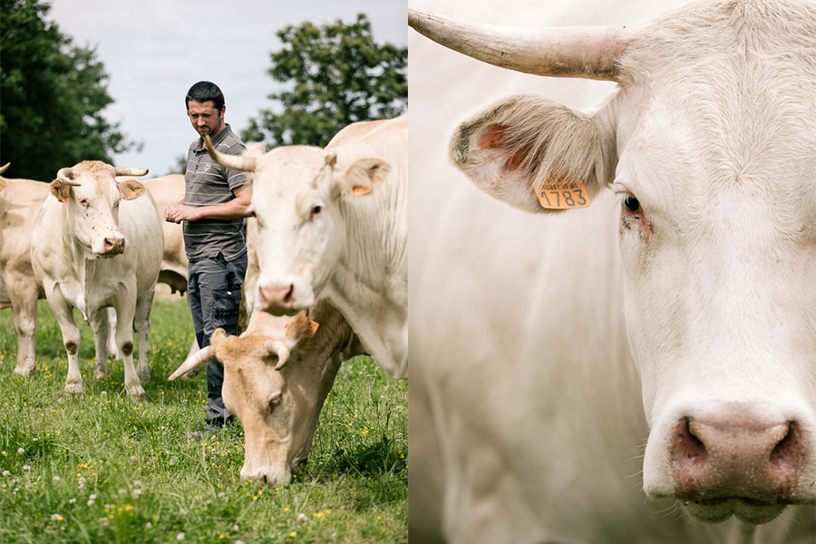 reportage pour agro qualité 