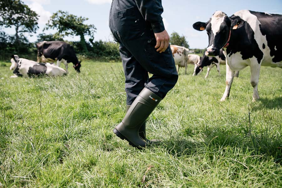 Photographie de bottes d'agricultrice dans un champ avec les vaches. ©Studio des 2 Prairies - photographie agricole