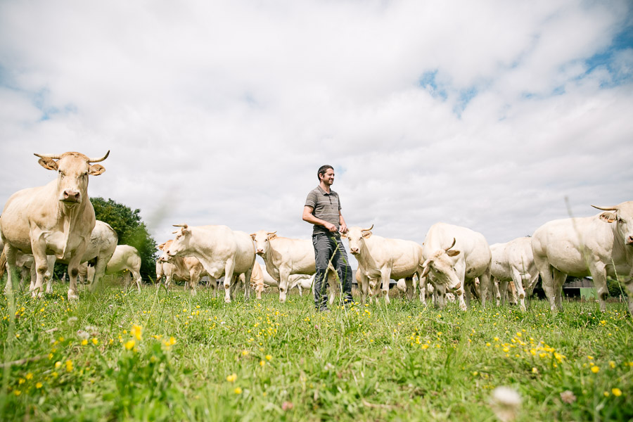 portrait agriculteur éleveur avec ses vaches