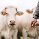 reportage photographique pour agro qualité