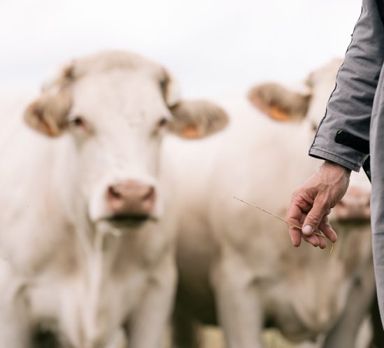 reportage photographique pour agro qualité