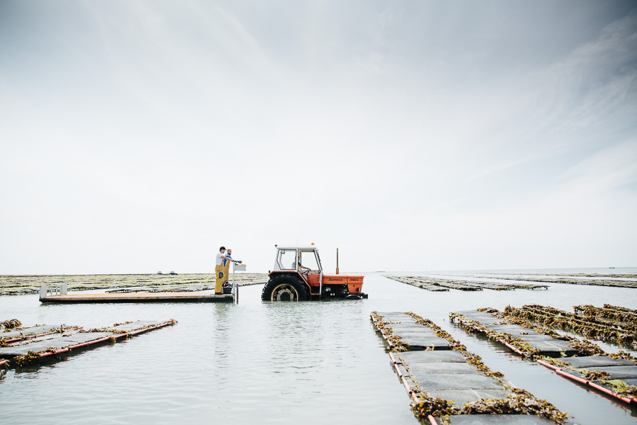 reportage ostréiculture, tracteur en photographie