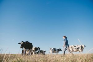 Production film publicitaire pour les réseaux sociaux en agriculture pour Entremont ©Studio des 2 Prairies