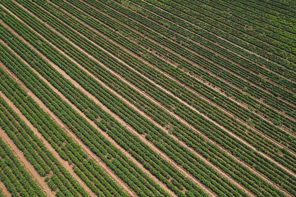 Photographie et vidéo aérienne en drone pour la communication en agriculture ©Studio des 2 Prairies